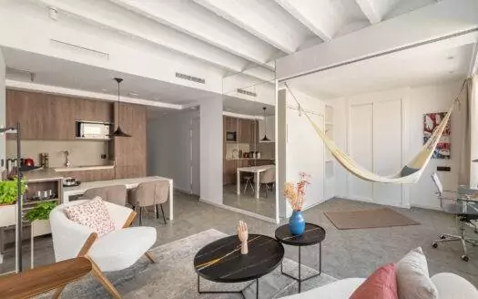 Concel de cent 363 B